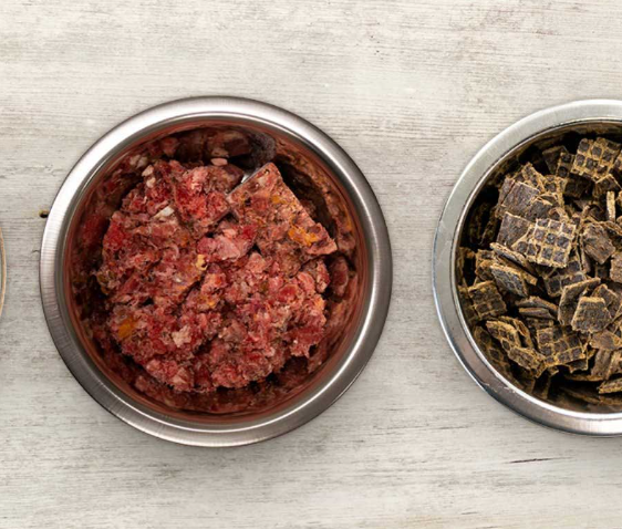 Raw Meat for Dogs Near Me: Finding Trusted Sources for Raw Feeding post thumbnail image