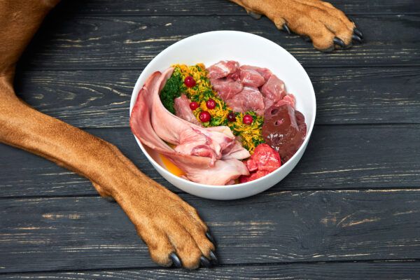 Raw Dog Food and Immune System Support: Strengthening Canine Health Defenses post thumbnail image