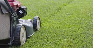 Reliable and Professional: Denver’s Choice for Lawn Care post thumbnail image