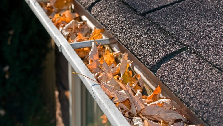Gutter Cleaning Cost: How Often Should You Schedule Service? post thumbnail image