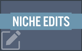 Niche Edits and the Link Building Landscape post thumbnail image