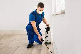 Find Your Boise Pest Control Partner: A Pest-Free Home Awaits post thumbnail image